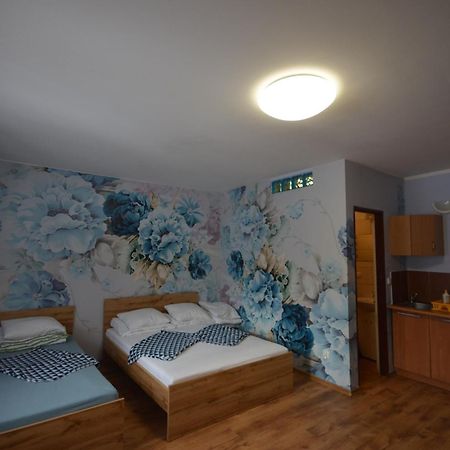 Pod Modrzewiem Mieszkania Wakacyjne Duszniki Zdrój Exterior foto