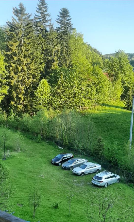 Pod Modrzewiem Mieszkania Wakacyjne Duszniki Zdrój Exterior foto